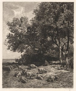 Moutons broutant - James David Smillie
