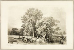 Abele et Chêne, du Parc et la Forêt