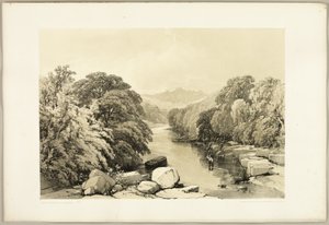 Frêne, sycomore et chêne, de Le Parc et la Forêt - James Duffield Harding