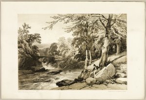 Hêtre et frêne sur la Greta, du Parc et la Forêt