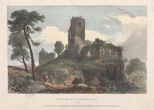 Château de Ballincolly