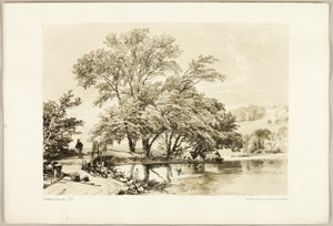 Saule Commun, de Le Parc et la Forêt - James Duffield Harding