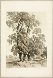 Orme, du Parc et la Forêt - James Duffield Harding