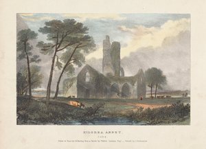 Abbaye de Kilcrea - James Duffield Harding
