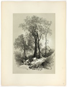Pont de Shipley, Devon, de Sélections pittoresques - James Duffield Harding