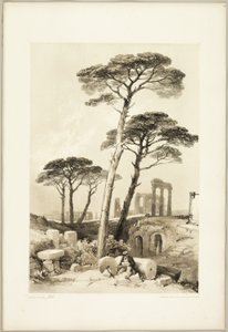Pins parasols, du Parc et la Forêt - James Duffield Harding