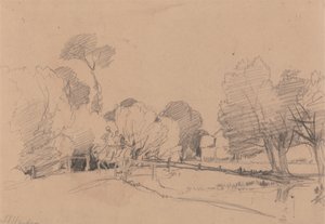 Saules près d