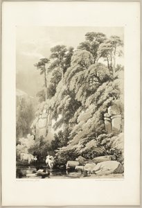 Orme et sapins, du Parc et la Forêt - James Duffield Harding