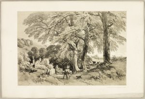 Orme de Wych, de Le Parc et la Forêt - James Duffield Harding