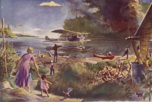 Avion et feu de forêt