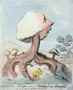 Une excroissance; Un champignon; Alias - Un champignon sur un tas de fumier, publié par Hannah Humphrey en 1791