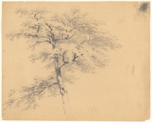 Arbre