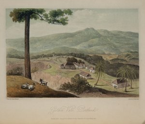 Golden Vale, Portland