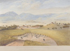 Domaine de Llanrumny, Sainte-Marie, Jamaïque