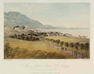 La propriété de Spring Garden, à St. George (Caraïbes), appartenant à I R Grosett Esquire. Gravure en couleur, 1er avril