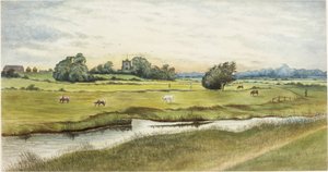 Ryton Meadows