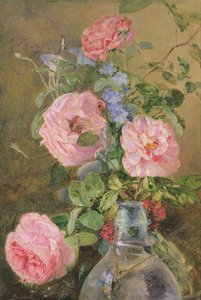 Roses, liserons et delphiniums