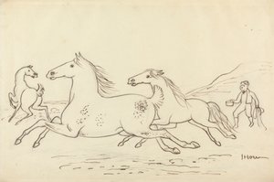 Trois chevaux et un garçon d
