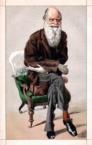 Portrait de Charles Darwin