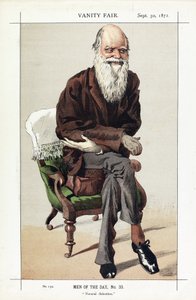 Charles Darwin, Hommes du jour, No. 33, Sélection naturelle, de Vanity Fair, pub. 1871
