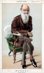 Sélection naturelle, 1871