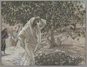 Le figuier maudit, illustration de La Vie de Notre Seigneur Jésus-Christ, 1886-94