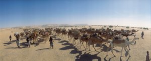 Panorama d
