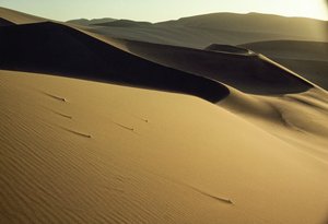Vue des dunes ombragées près de Dunhuang. Province de Gansu, République populaire de Chine