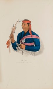 Un chef des Miamis, extrait du Portfolio autochtone - James Otto Lewis