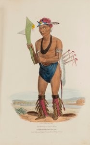 CUT-TAA-TAS-TIA ; Un chef célèbre de la tribu des renards, tiré du Portefeuille autochtone - James Otto Lewis