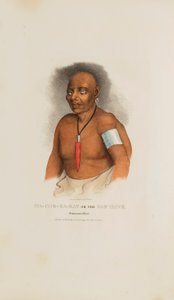 MA-CHE-KA-KAT ou le mauvais faucon ; un chef de la Monomonie, tiré du Portfolio autochtone - James Otto Lewis