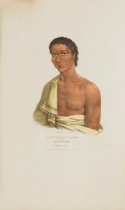 O-HYA-WA-NIM-CE-KEE ou le Tonnerre jaune ; un chef Chippeway, tiré du Portfolio autochtone - James Otto Lewis