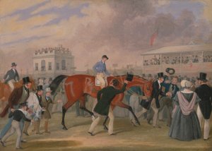 Les animaux de compagnie du Derby : Le gagnant