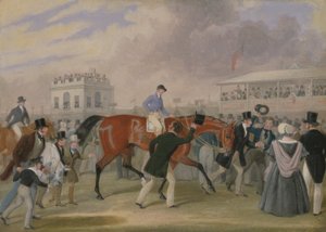 Les animaux de Derby : Le gagnant