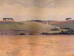 Chobham Common - James S Ogilvy