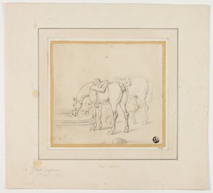 Deux chevaux buvant - James Seymour