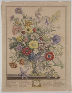 Novembre 1730 - James Smith