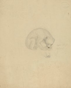 Un Ours