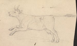 Une vache