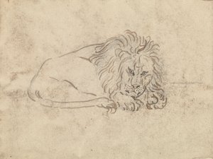 Un lion