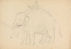 Éléphant avec cavalier - James Sowerby