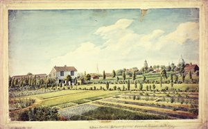 Jardin botanique de William Curtis, Lambeth Marsh, avant 1787
