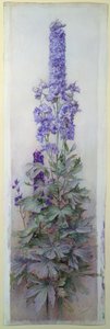 Delphiniums - James Valentine Jelley