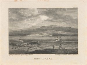 Silex, de Park-Gate - James Walker