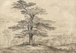 Un cèdre sur une colline avec un troupeau de cerfs à son ombre - James Ward