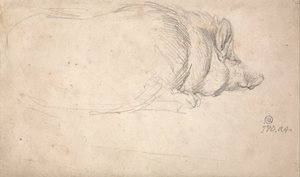 Un porc endormi - James Ward