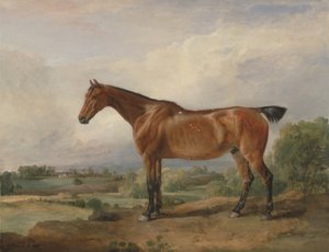Un chasseur dans un paysage