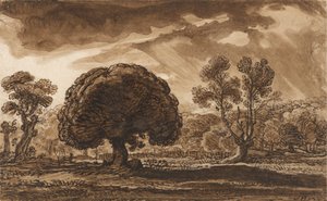 Une tempête approchant - James Ward