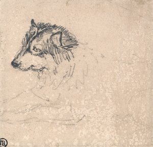 Chien arctique, face à la gauche - James Ward