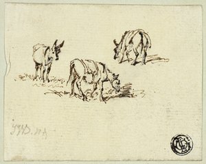 Chevaux et mules au pâturage
